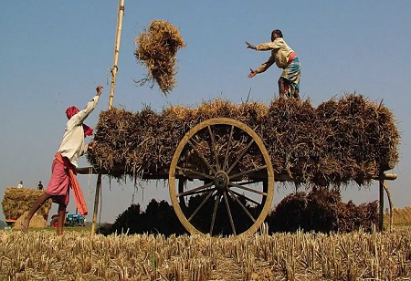 Record High: India's agri exports reach $50 bn